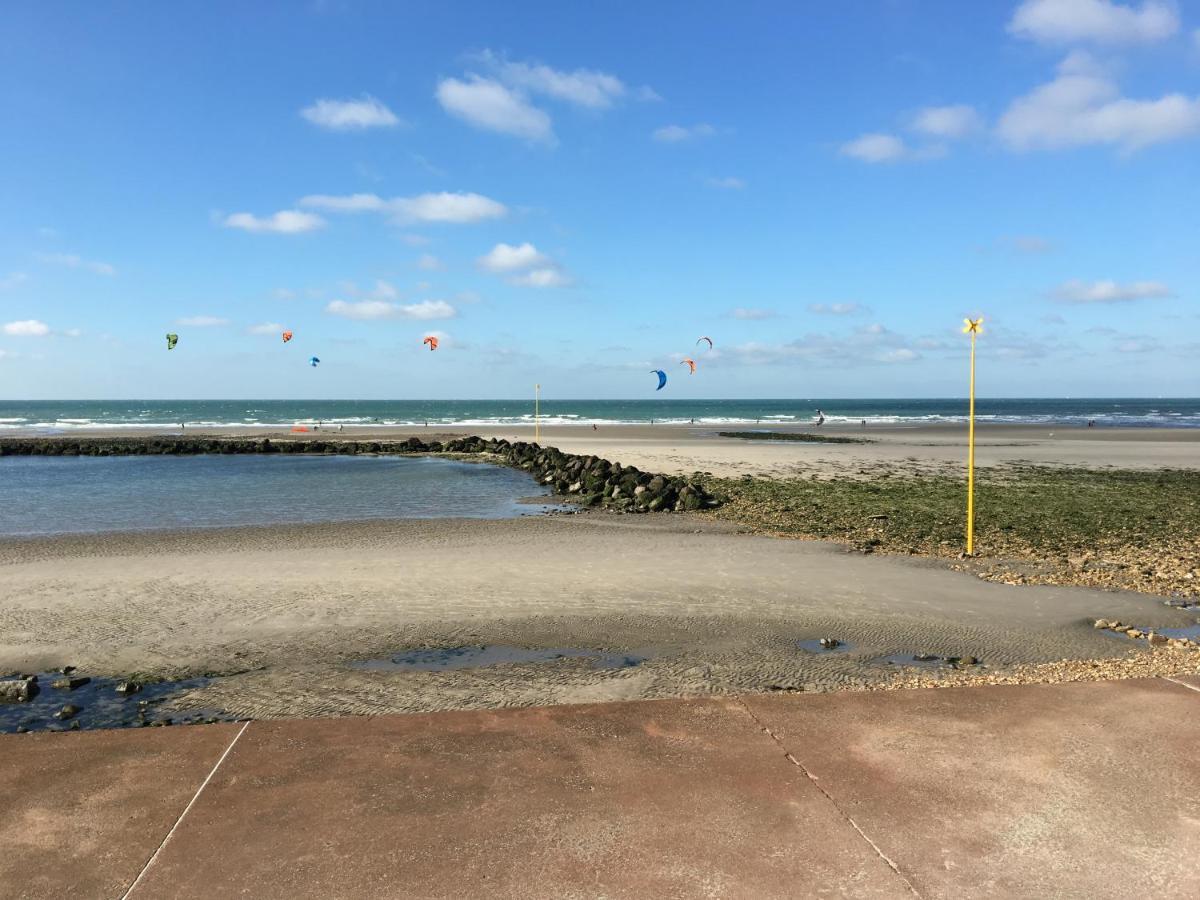 Studio "Pause A La Naturelle" Wimereux- Cote D'Opale Eksteriør billede