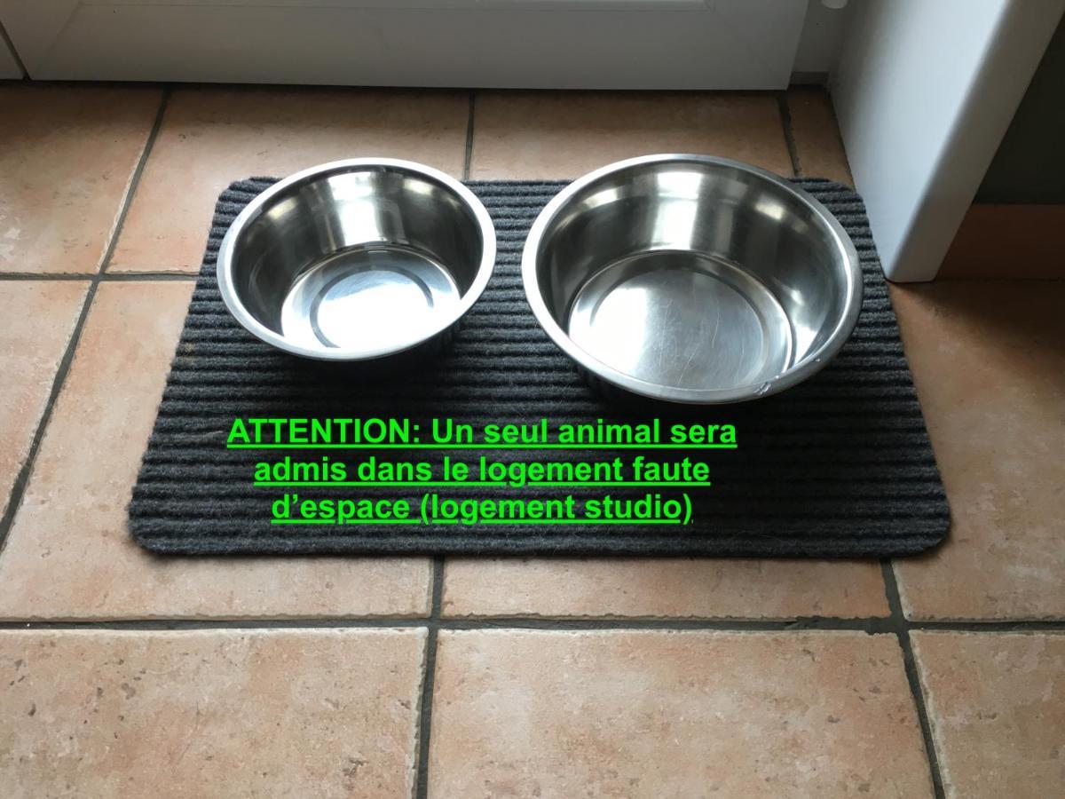Studio "Pause A La Naturelle" Wimereux- Cote D'Opale Eksteriør billede